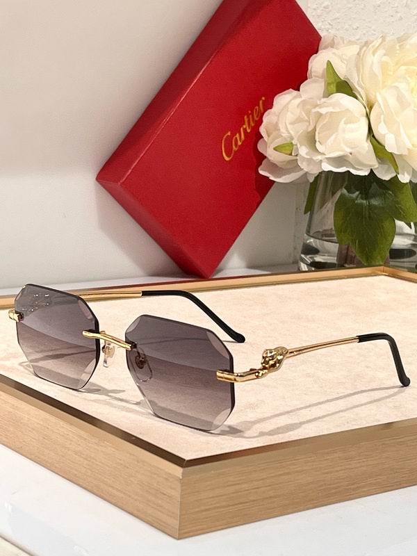 Cartier Glasses smx (406)